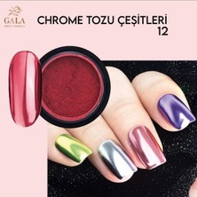 Gala Smart  Toz Nail Art Krom Toz No 12