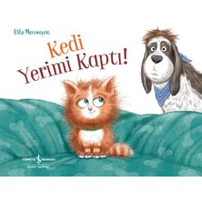Renklime Kedi Yerimi Kaptı!