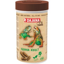 Snmswrld Dajana Iguana Adult All In One 1000 ml 240 gr