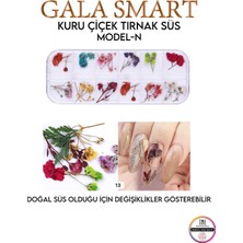 Gala Smart  Kuru Çiçek Naıl Art Tırnak Süs A