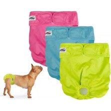 Snmswrld Pawise Tekrar Kullanılabilir Köpek Külodu Xs 3ADET