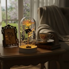 Trend Kent Anne ve Çocuk Temalı Ledli Fanus Sonsızluk Gülü Anneler Günü Özel Hediyesi