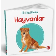 Renklime Ilk Sözcüklerim - Hayvanlar