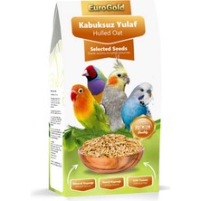 Snmswrld Eurogold Yulaf Tohumu 150 gr