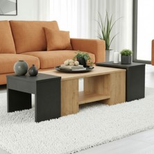 Misterium Axis 3'lü Zigonlu Orta Sehpa Seti - Safir Meşe Antrasit