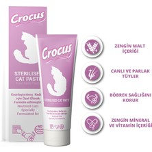 Snmswrld Crocus Kedi Sterilised Malt Macunu 100 Gram x 2 Adet