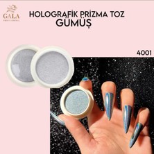 Gala Smart  Toz Nail Art Prizma Toz 4001