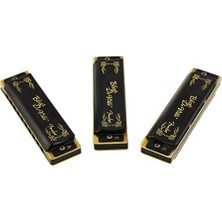 Fender 0990702021 Blues Deville 3'lü Mızıka Seti (C, G, A) | En Sık Kullanılan 3 Tonu Içeren Özel Kılıflı Profesyonel Set