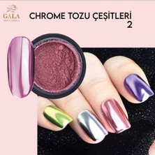 Gala Smart  Toz Nail Art Krom Toz No 02