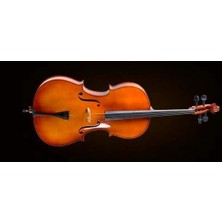 Valencia CE400G44 Çello 4/4 German Style | Kutu ve Yay Dahil - Antik Cila - Zengin Ses