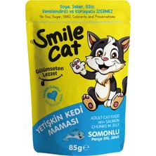 Smile 85 gr Pouch Kedi Maması Yetişin Somonlu *15'li