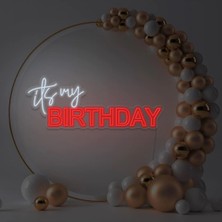 Biz Bu İşin Keyif Kısmındayız Its My Bırthday Yazılı Neon Tabela