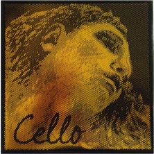 Pirastro 335020 Evah Pirazzi Gold Set Çello Teli | Üstün Ses Hacmi, Zengin Harmonikler, Profesyonel Sahne Performansı