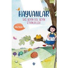 Türkiye Diyanet Vakfı Yayınları Hayvanlar Sağ Beyin Sol Beyin Etkinlikleri