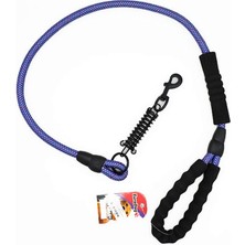 Snmswrld Eurodog Köpek Uzatma Reflektörlü 14MM x 120CM Mor