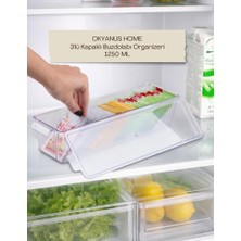 Okyanus Home 3 Adet Kapaklı Mini Buzdolabı Organizeri ve Saklama Kabı 1250ML