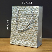 Vice Avm Mini Boy Hediye Çantası TG-V 11629