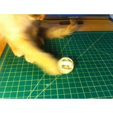 Talaşoğlu Kediler Için Hareketli Top Oyuncak – 3D Baskı Kedi Oyuncağı