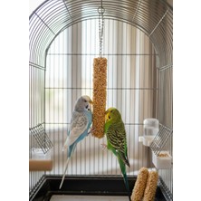 5 Adet Pelagos 3lü Paket Meyveli Kraker