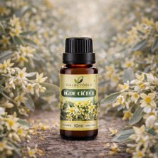 Dalbeyoğlu Bitkisel  Iğde Çiçeği Esansiyel Koku Yağı 10 ml x 2 adet