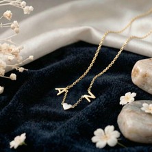 Aytoba 925 Ayar Gümüş Kişiye Özel 14 Ayar Altın Kaplama Gold Rengi Kalpli Baş Harf Kolye