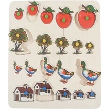 Edutoys BÜYÜKTEN KÜÇÜĞE SIRALAMA (KULPLU)