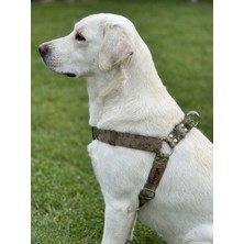 Balkonda Köpek Göğüs Tasması Orta ve Büyük Irk Ayarlamalı 3 cm Genişlik Kolon Kordon Kamuflaj