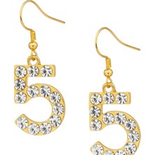 Tuqos 5 Rakamlı Rodyum Kaplama Zirkon Taşlı Çelik Küpe