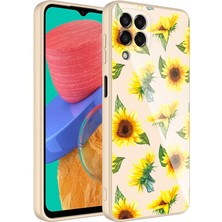 Galaxy M33 Kılıf Kamera Korumalı Desenli Sert Silikon Nxar Epoksi Kapak-No2
