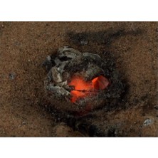 Edulab EJDERHA YUMURTASI DENEY SETİ