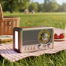 Dexxony Gümüş Retro & Vintage Nostaljik Radyo Bluetootlu Fenerli Mini Kibar Fm Radyo - Bluetooth Hoparlör (Videolu Ürün)