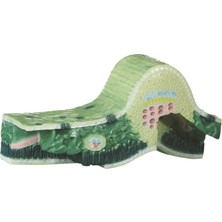 Edulab YAPRAK KESİTİ