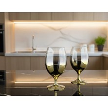 Rova Tr Bade Serisi Titanyum Kaplama Modern Cam Su Bardağı Premium Set - 6 Kişilik