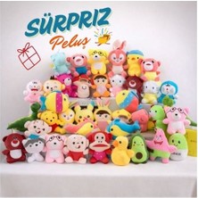 Strong Group Sürpriz Peluş Paket Pluş Oyuncak 15- 20 cm Oyun ve Uyku Arkadaşım