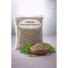 Dovit Dökme Maydanoz Tohumu 1 kg – Doğal Tohum