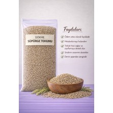 Dovit Dökme Süpürge Tohumu 1 kg – Doğal Bitkisel Tohum