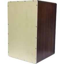 Rhythm Percussion Karin Rtca-Ah Cajon - Çatlak Boyalı (Eğitim - Kılıflı Seri) | Ahşap Gövde, Ayarlanabilir Kort Telleri, Kaymaz Ayaklar, Özel Tasarım Çatlak Desenli Finish | 30 x 30 x 48 cm (Standart Yetişkin Boy)