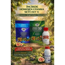 Turkozagro Incirde Homojen Uyanma Seti (Set 1) Erken Uyanma • Dengeli Gelişim • Yüksek Verim