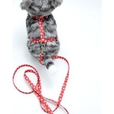 Calperia Kedi Patili Göğüs Tasması ve Gezdirme Seti PS9647