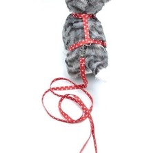 Calperia Kedi Yıldızlı Göğüs Tasması ve Gezdirme Seti PS9648