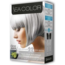 Herşeytrend 2 Tüp Krem Saç Boyası Seti Gümüş Gri No:0.02