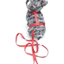 Calperia Kedi Düz Göğüs Tasması ve Gezdirme Seti PS9641