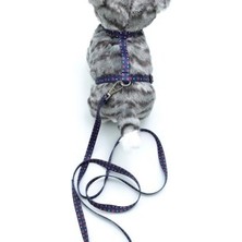 Calperia Kedi Patili Göğüs Tasması ve Gezdirme Seti PS9645