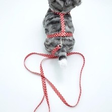 Calperia Kedi Kalpli Göğüs Tasması ve Gezdirme Seti PS9636