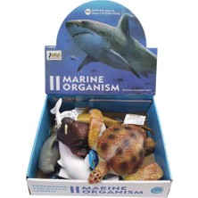 Calperia Soft Deniz Hayvanları 8 - E022 (Lisinya)