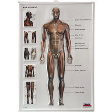 Edulab KAS SİSTEMİ LEVHASI KABARTMA