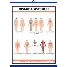Edulab İNSANDA SİSTEMLER LEVHASI (70X100)