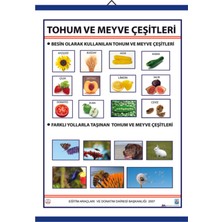 Edulab TOHUM VE MEYVE ÇEŞİTLERİ LEVHASI (70X100 CM)