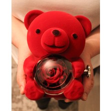 Trend Robo Sevgiliye Özel Ayıcık Kırmızı Kadife Mekanizmalı Kolye Kutusu –925 Ayar Gümüş Rose Renk Sarılan Sevgili Kolye