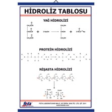 Edulab HİDROLİZ LEVHASI (70X100 CM)
